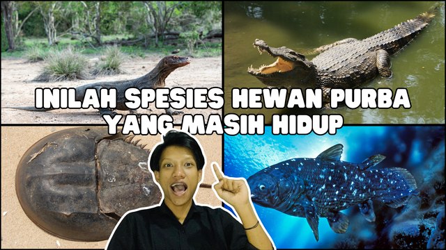 Empat Spesies Hewan Purba Masih Bertahan Hidup Hingga Saat Ini-Serius Ini Hewan?