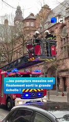 Un chat libéré par les pompiers à Metz