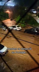 🐄🇵🇹 Pendant ce temps au Portugal, les vaches font du surf .. On adore les animaux portugais !#voyage #humour #portugal