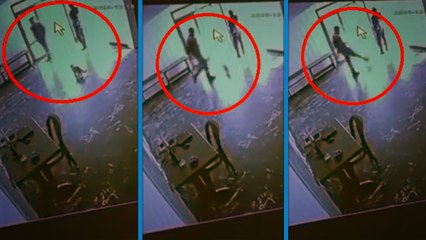 Belediyeye ait tesiste kediye tekme kamerada