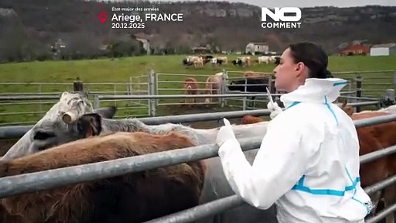 Франция задействует вооружённые силы для борьбы...