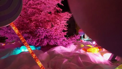 Tempio a colori: la magia del Natale illumina la città