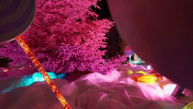 Tempio a colori: la magia del Natale illumina la città