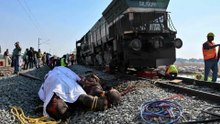 Un tren atropella y mata a siete elefantes en India