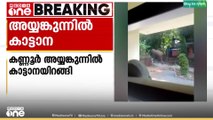കണ്ണൂർ അയ്യങ്കുന്നിൽ ജനവാസ മേഖലയിൽ കാട്ടാനയിറങ്ങി; പ്രദേശത്ത് ജാഗ്രതാ നിർദേശം