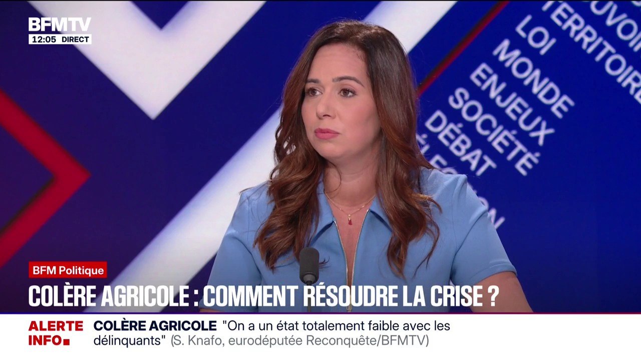 Pour Sarah Knafo, eurodéputé "Reconquête", le Mercosur "est une trahison" envers les agriculteurs