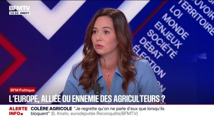 Mercosur: "L'élevage français peut mourir en France", estime Sarah Knafo, eurodéputée "Reconquête"