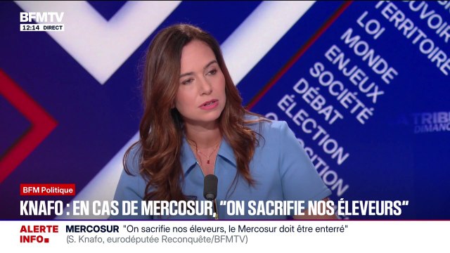 Budget 2026: J'ai établi un contre-budget qui propose 80 milliards d'économies , déclare Sarah Knafo, eurodéputée Reconquête