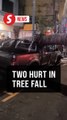 Two injured after tree falls on vehicles in Penang