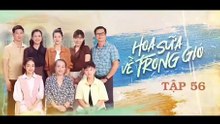 Hoa Sữa Về Trong Gió - tập 56 - tập cuối
