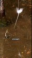 The Fish That Shoots Its Prey With Water #facts #shorts #viral