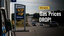 USA Gas Prices Drop | Latest Gas Price Update in America Today