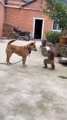 #funny video #shortvideo #viralvideo #funnyadda#