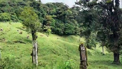 Costa Rica : la Suisse d'Amérique centrale