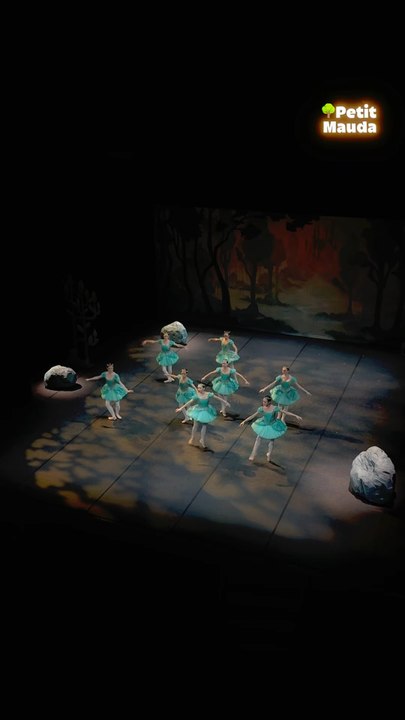 Mon premier ballet et pas le dernier Actuelleme...