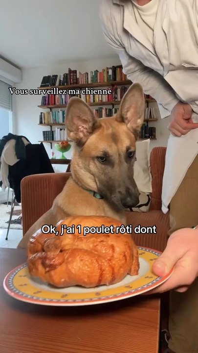 Selon toi à combien elle a géré en Poulet rôti /10 ??