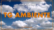 Tg Ambiente - 21/12/2025