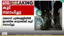 വയനാട് പുൽപ്പള്ളിയിൽ ഇറങ്ങിയ കടുവയ്ക്കായി കൂട് സ്ഥാപിച്ചു