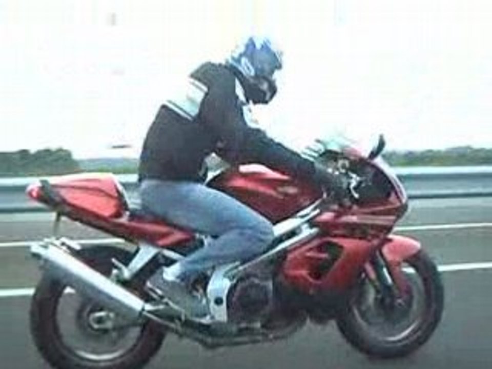 Le Falco de Franck.05