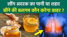 Mucus In Lungs: लौंग अदरक का पानी या शहद, सीने में जमे बलगम को बाहर कैसे निकाले | Boldsky