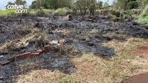Incêndio em vegetação é registrado no XIV de Novembro em Cascavel