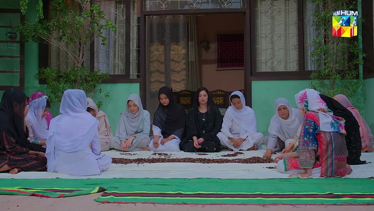 Laadli ep 29 Pakistani drama