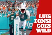 Luis Fonsi goes wild rooting for the Miami Dolphins