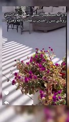 عودة يوشا عبد العزيز بعد وفاة ابنها عساف تتصدر الترند