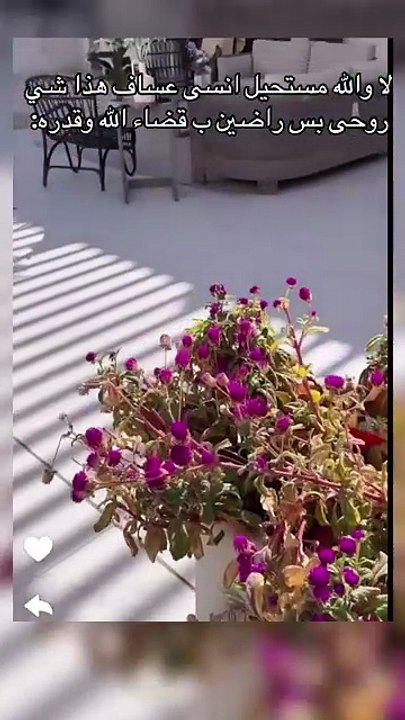 عودة يوشا عبد العزيز بعد وفاة ابنها عساف تتصدر الترند