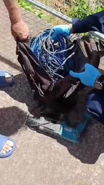 Homens estavam furtando casa quando foram flagrados pela PM