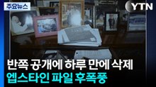 반쪽 공개에 하루 만에 삭제까지...'엡스타인 파일' 후폭풍 / YTN