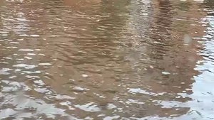 Kiewa Street, December 21, 2025, flash flooding