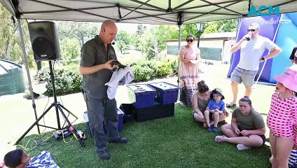 Celebrating Christmas at the Peel Inn