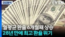 [스타트 경제] 고환율에 물가 비상...5년 동안 커피 280%·소고기 60%↑ / YTN