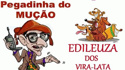 pegadinha do mução Edileuza dos cachorro vira lata