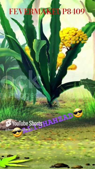 Cute Animals 🐆🐅🌴🌾🍀🌱