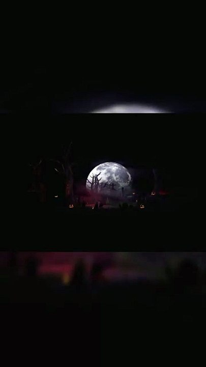 Nature video