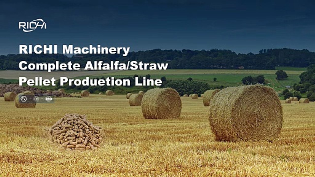 Grass Pellet Production Line | Turn Grass into High-Value Pellets