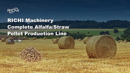 Grass Pellet Production Line | Turn Grass into High-Value Pellets