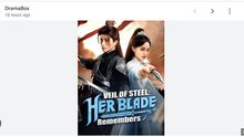 Veil Of Steel Her Blade Remembers (2025) - FULL HD [Eng Sub]