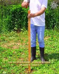 A Simple Solution to Effortless Plant Hydration!🌿