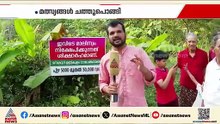 മത്സ്യങ്ങൾ ചത്തുപൊങ്ങി...തോട്ടിൽ മാലിന്യം തള്ളിയവരെ കണ്ടെത്തണമെന്നാവശ്യവുമായി നാട്ടുകാർ