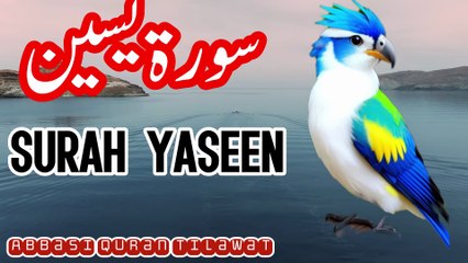 Surah Yaseen Beautiful Recitation by Abbasi Quran Tilawat| Soothing Quran Tilawat |   📖 Description  Surah Yaseen Quran Pak ki ek azeem aur barkat wali Surah hai jise Qalb-ul-Quran (Quran ka dil) kaha jata hai۔ Is Surah ki tilawat se sakoon-e-qalb, maghf