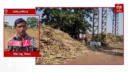 बालोद के गन्ना किसानों का शक्कर कारखाना प्रबंधक पर फूटा गुस्सा, बिना तैयारी गन्ना मंगाने का आरोप