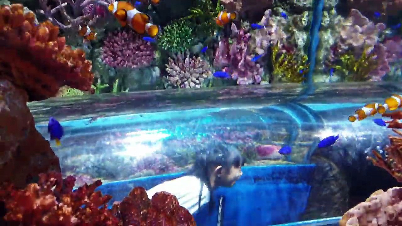 15.04.2019 - Sea Life Bangkok Ocean World
