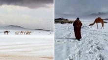 Neve in Arabia Saudita: il deserto si tinge di bianco | Il video