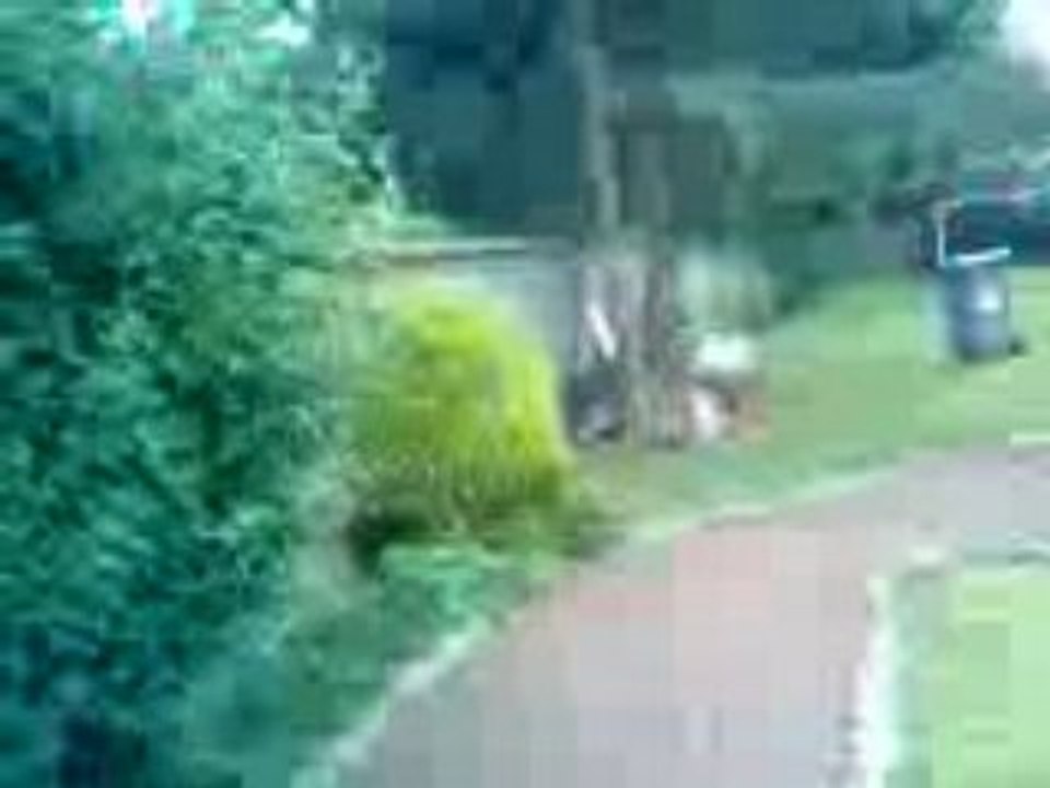 Vidéo003