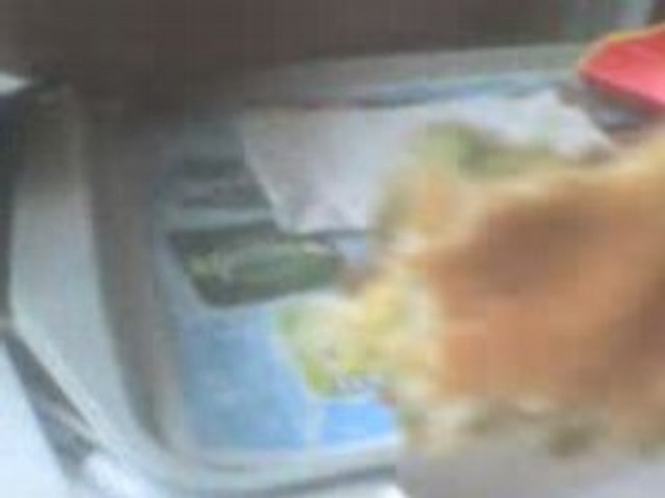 Petit McDo (01)