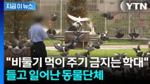 비둘기 먹이 주면 과태료 '100만원'...동물단체 
