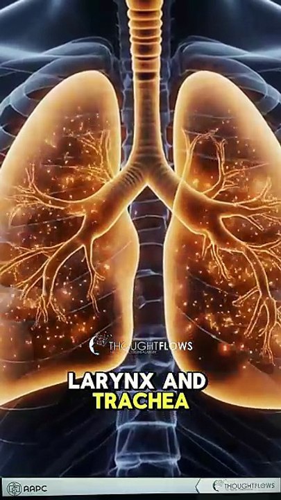 Medical coding